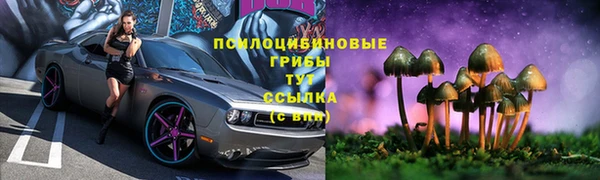 мет Аркадак