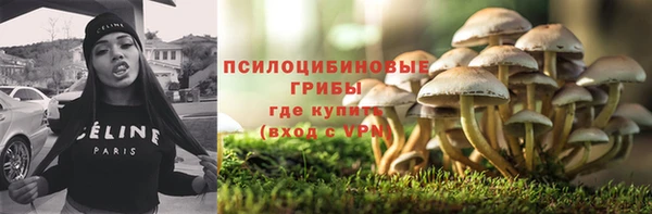 2c-b Алексин