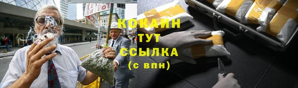 гидра Арсеньев