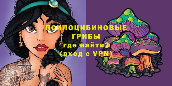 МДПВ Армянск