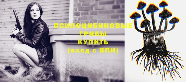 МДПВ Армянск