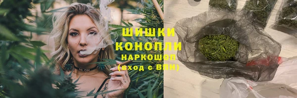 гидра Арсеньев